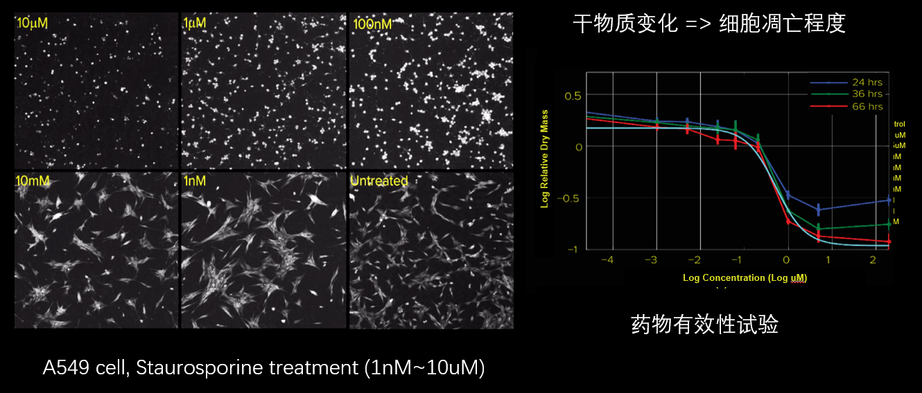 5、細(xì)胞毒性分析.png